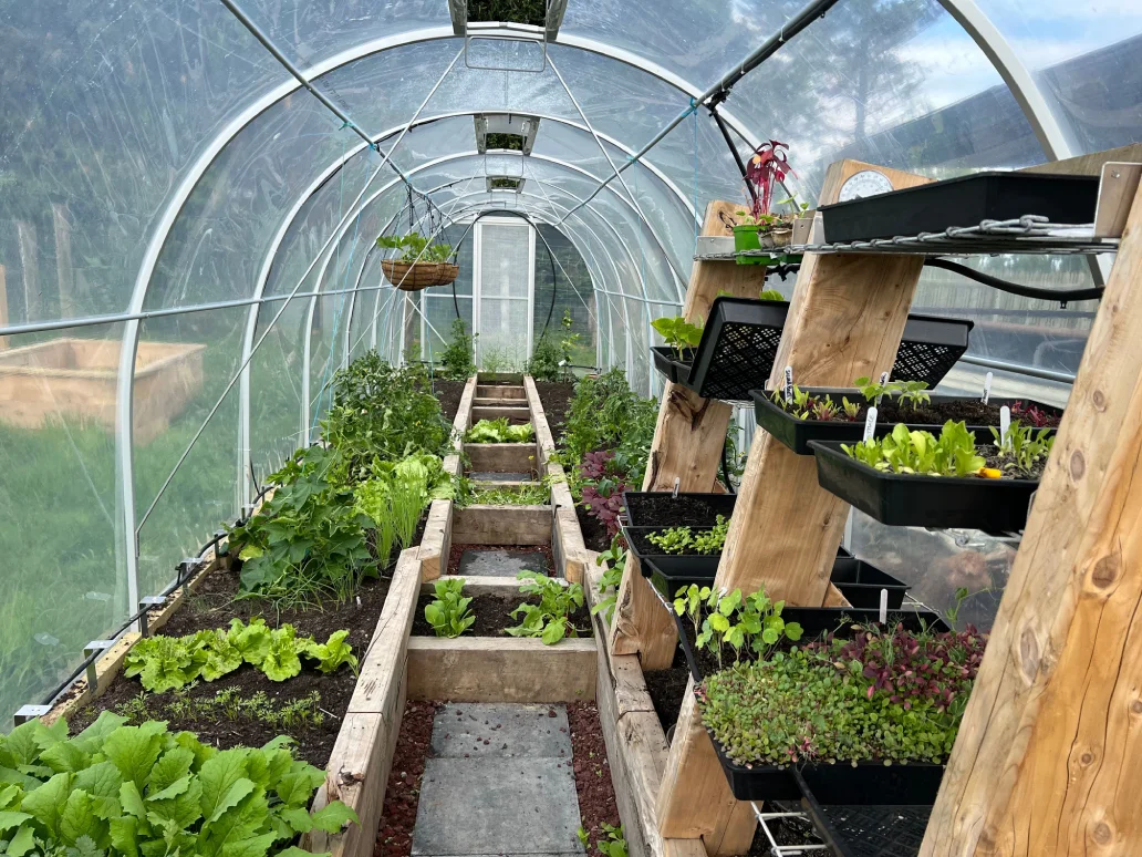 Prepare Your Greenhouse for Cooler Temperatures in New Zealand