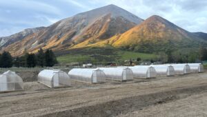 Grasmere Lodge Polycarbonate Greenhouses