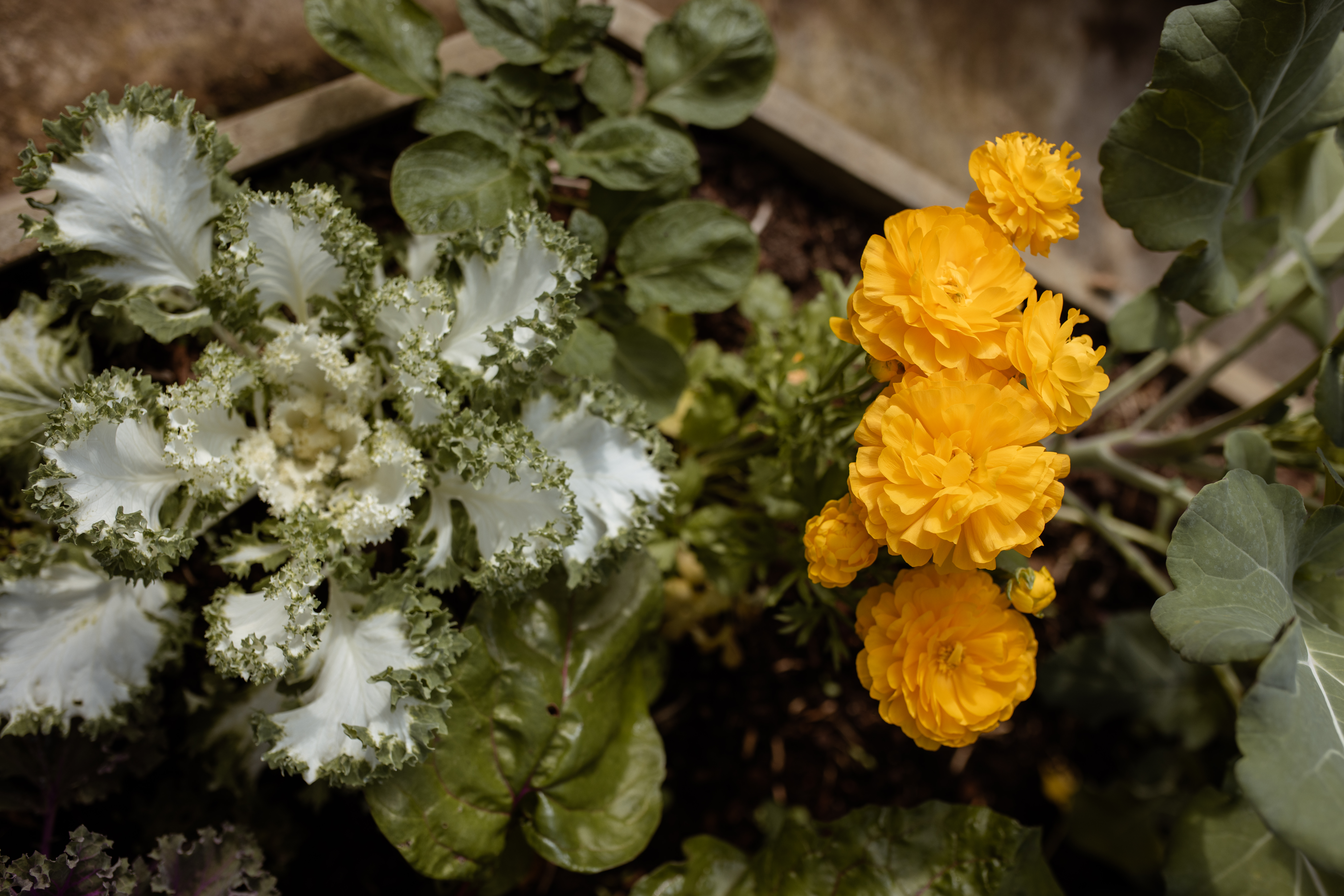 Better Together – Plant for success!